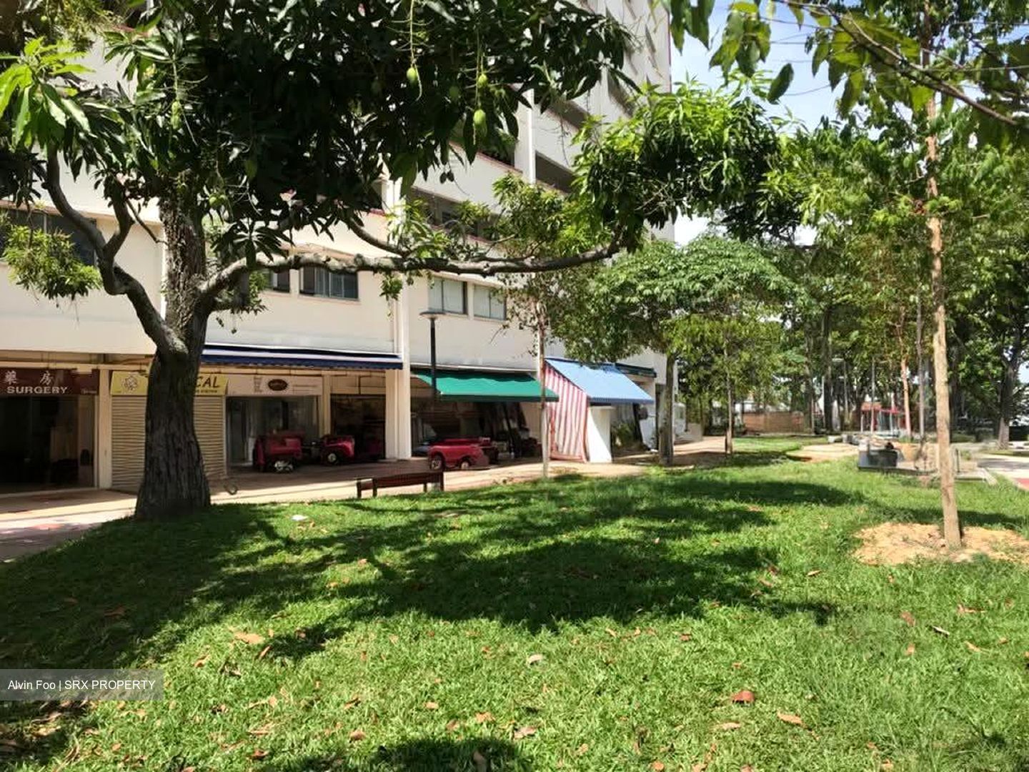 Ping-an Gardens (D16), Shop House #566935301